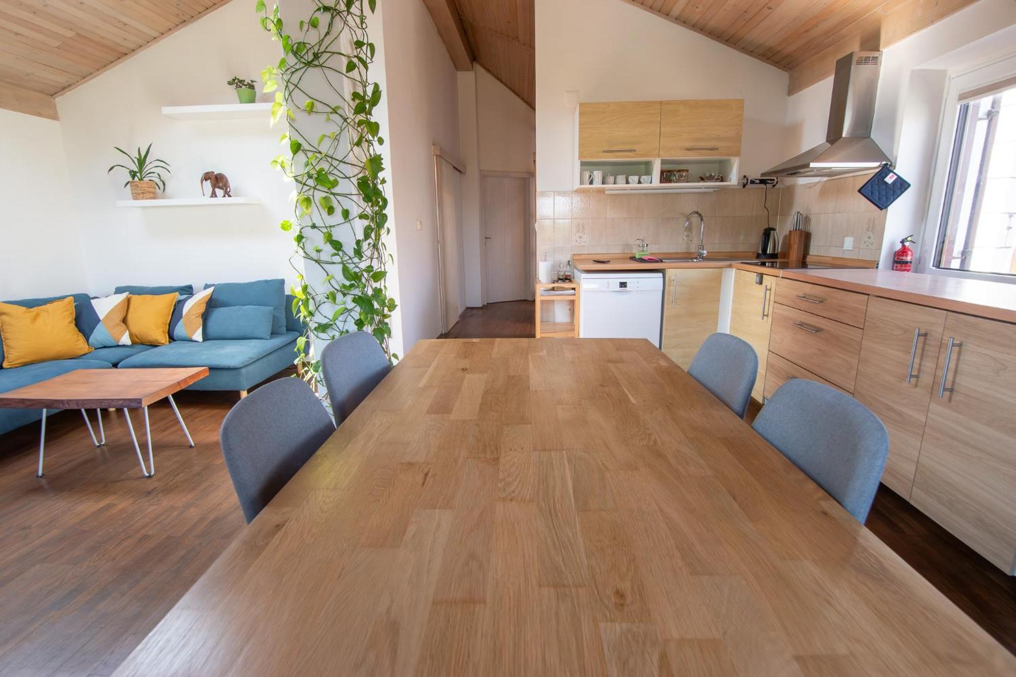 Bivalvia Apartments 科佩尔 外观 照片