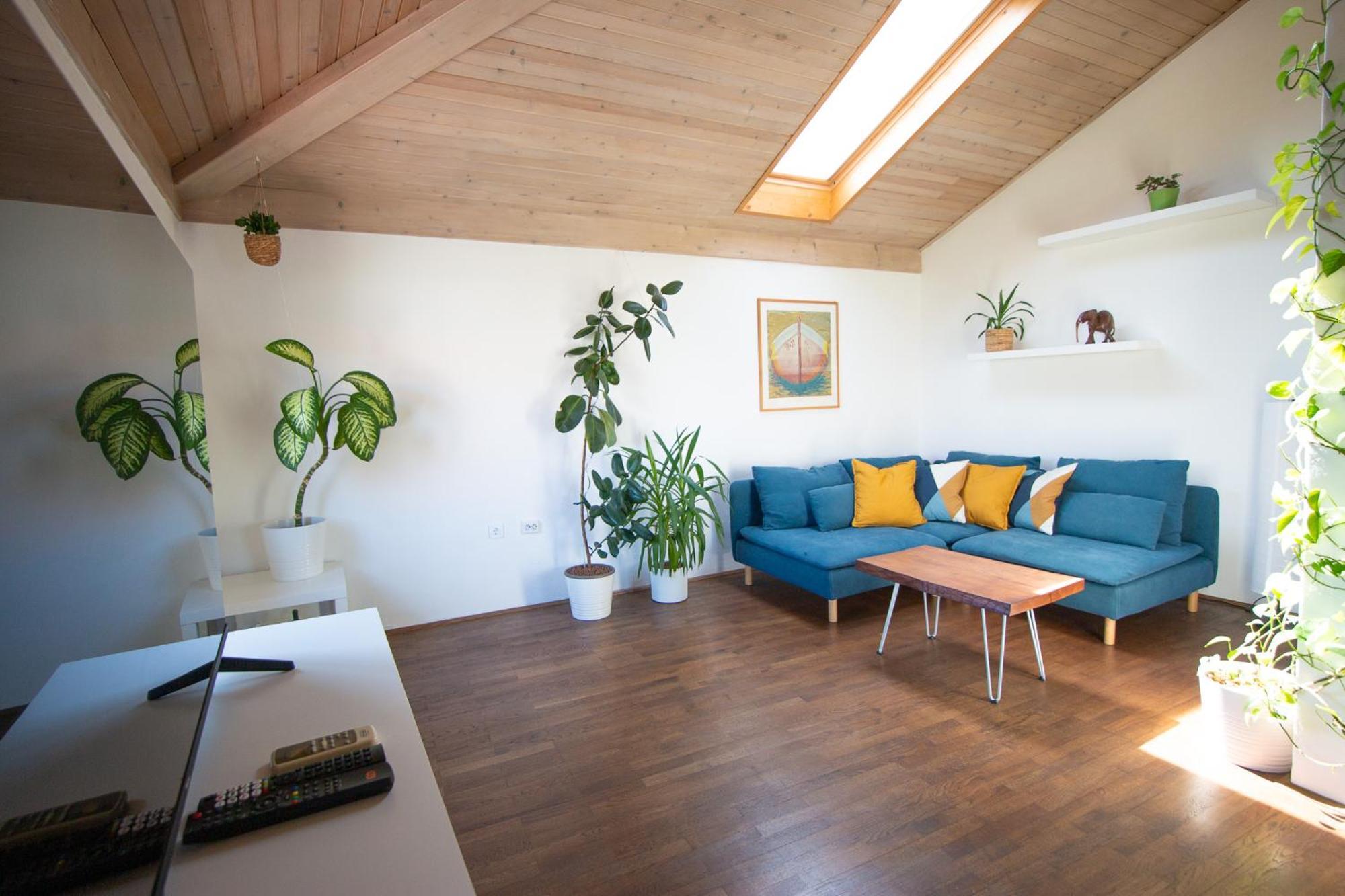 Bivalvia Apartments 科佩尔 外观 照片
