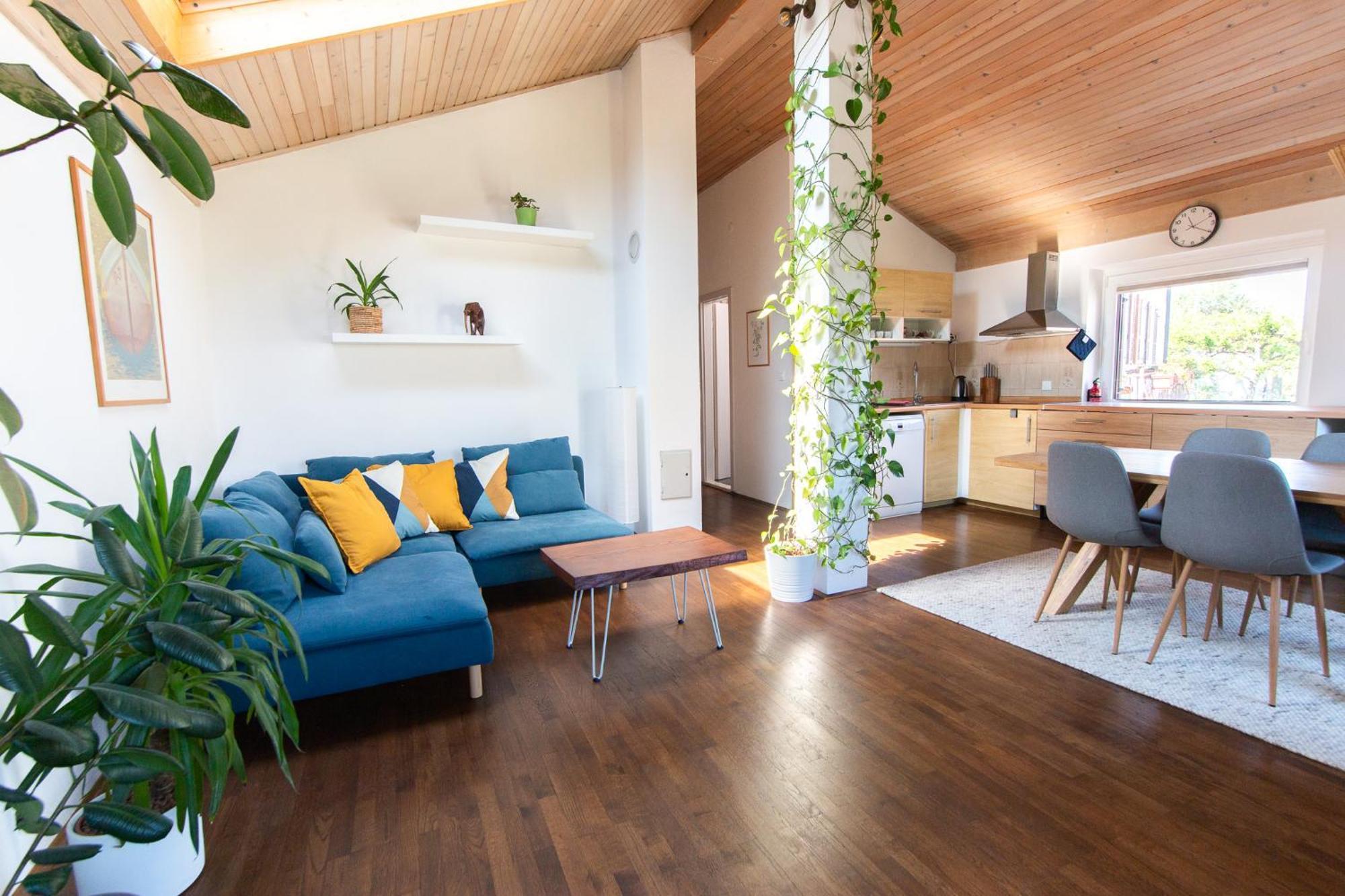Bivalvia Apartments 科佩尔 外观 照片