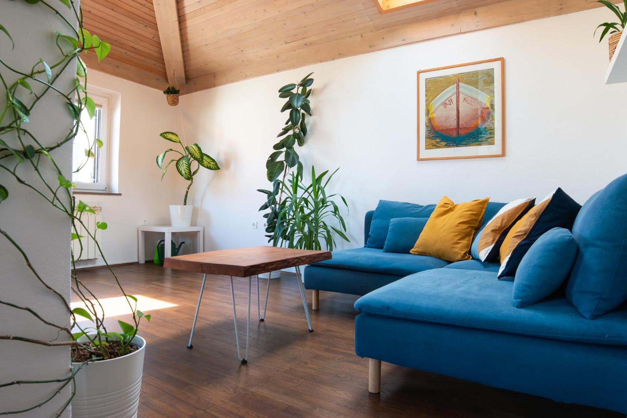 Bivalvia Apartments 科佩尔 外观 照片
